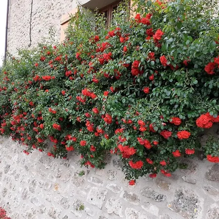 Charmante Maison Renovee Avec Cour, Proche Bourg, Wifi, Jardin Clos, Animaux Acceptes, A - Fr-1-489-178 Nyaraló