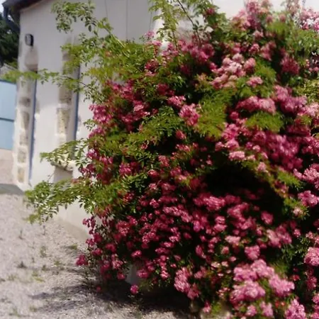 Maison De Vendanges Renovee Avec Wifi Et Animaux Admis - Fr-1-489-178 منزل ريفي *