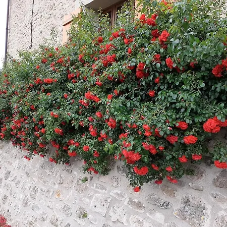 منزل ريفي Maison De Vendanges Renovee Avec Wifi Et Animaux Admis - Fr-1-489-178